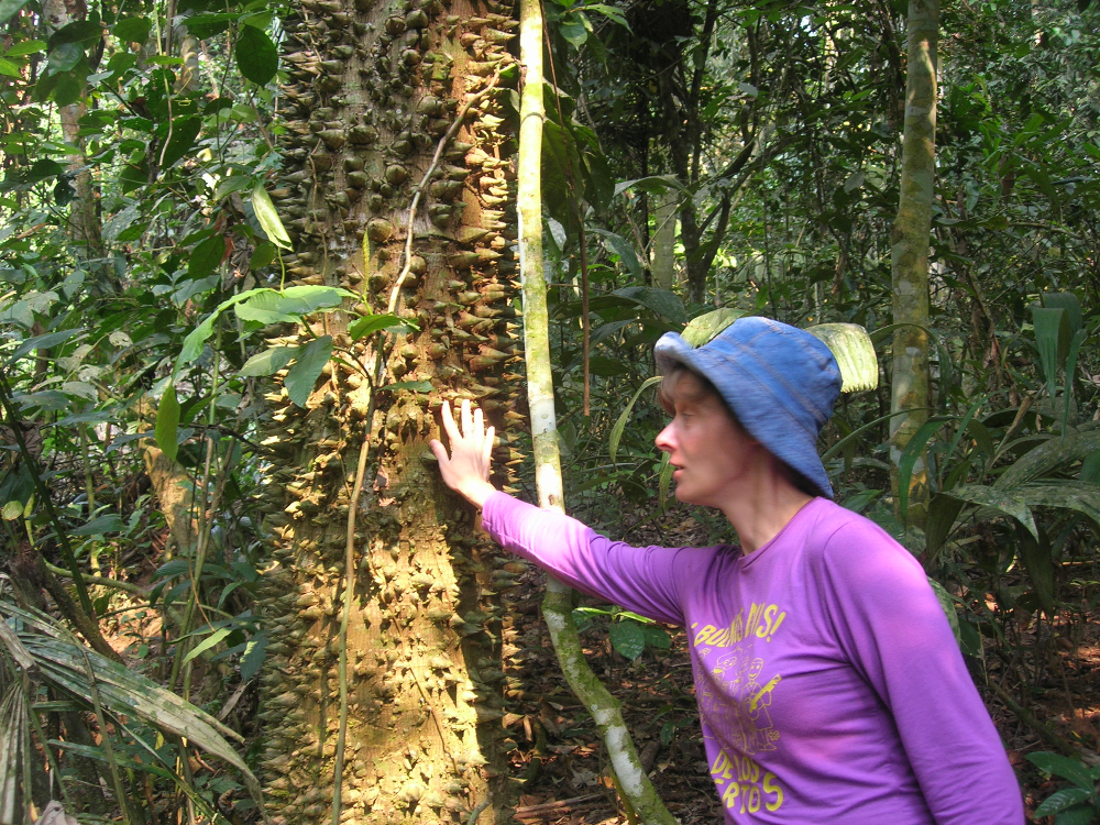 Amazonas Selva