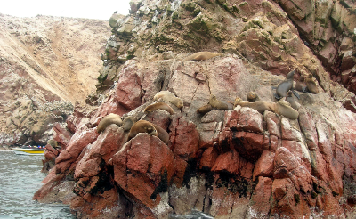 Ballestas islands